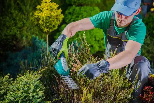 landscaping services Vails Gate